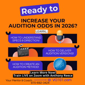 voice over audition reviews