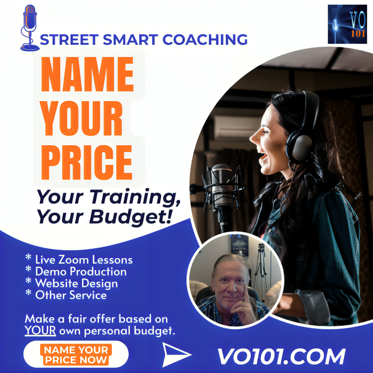 voice over coaching