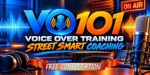 voice over consultation